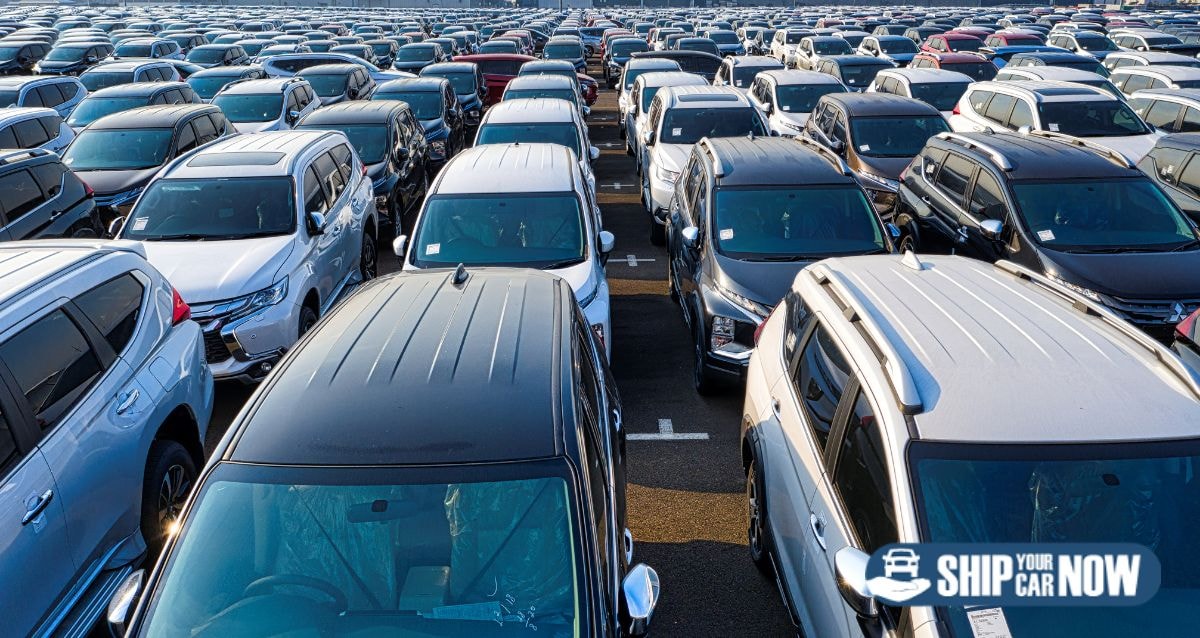 Auto transporters need all the information to ensure you have a great shipping experience