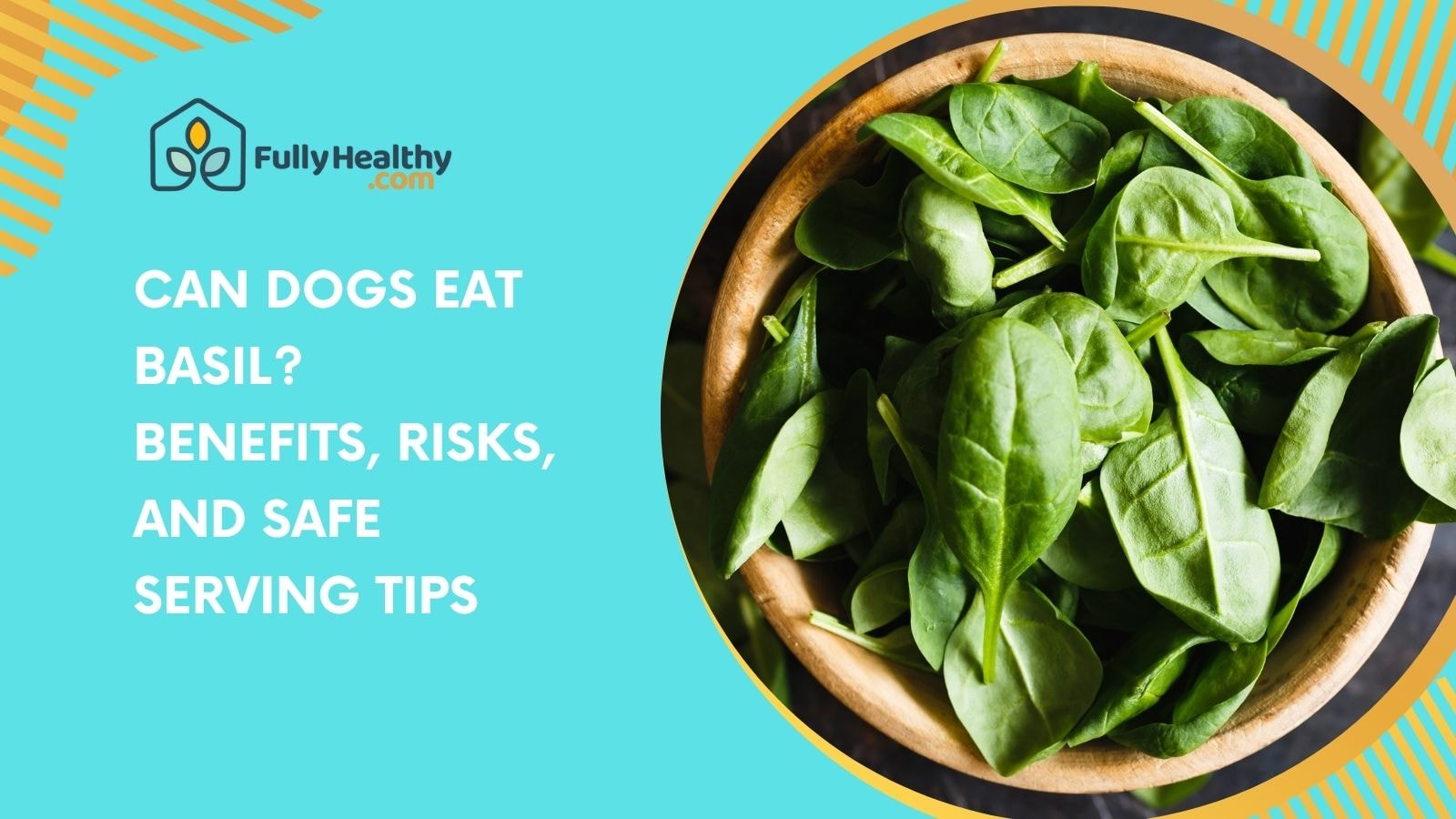 Can Dogs Eat Basil? Benefits, Risks, and Safe Serving Tips