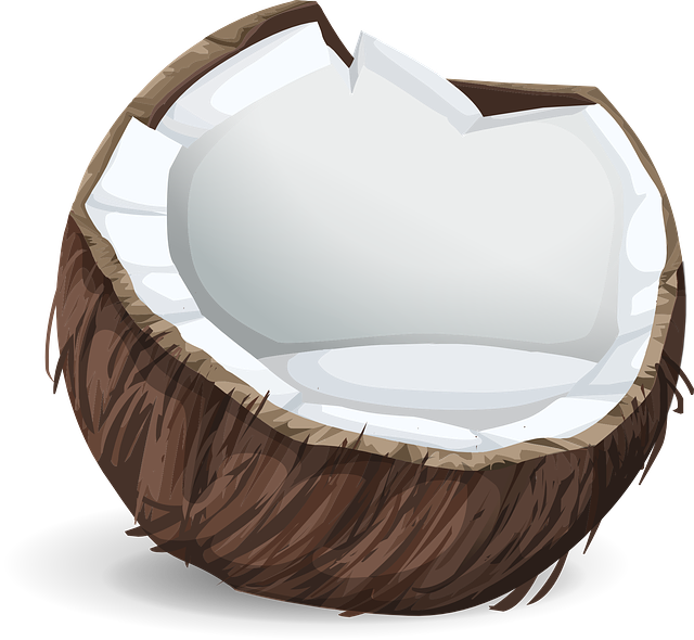 coconut, icon, fruit