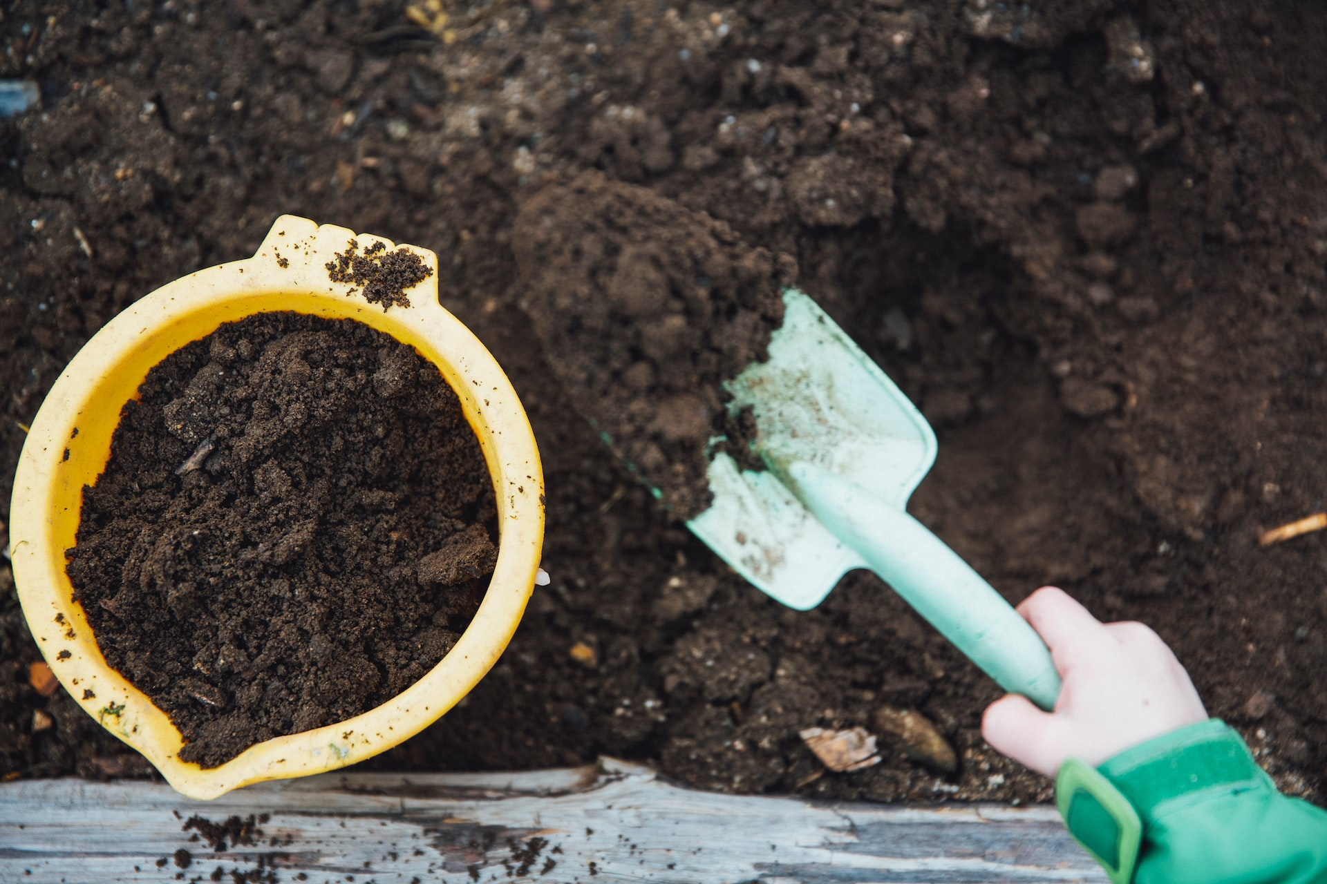 Considerations When Choosing the Best Compost Starters