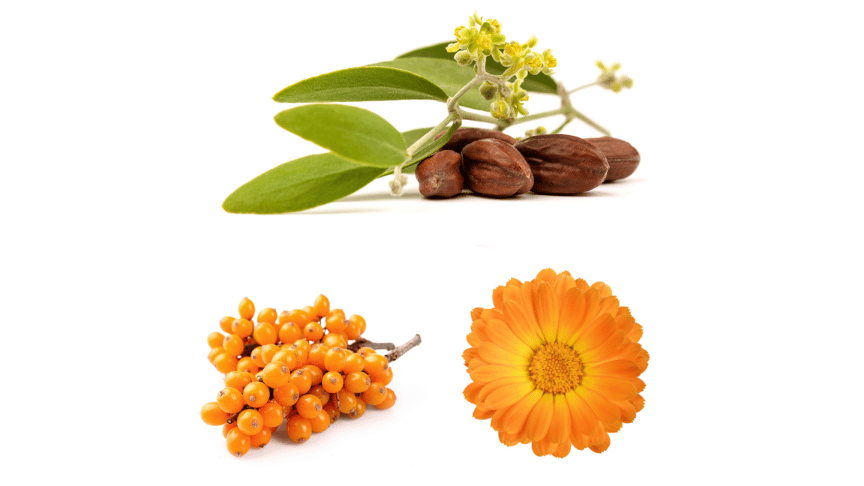 herbs to soothe dead skin and persistent odours