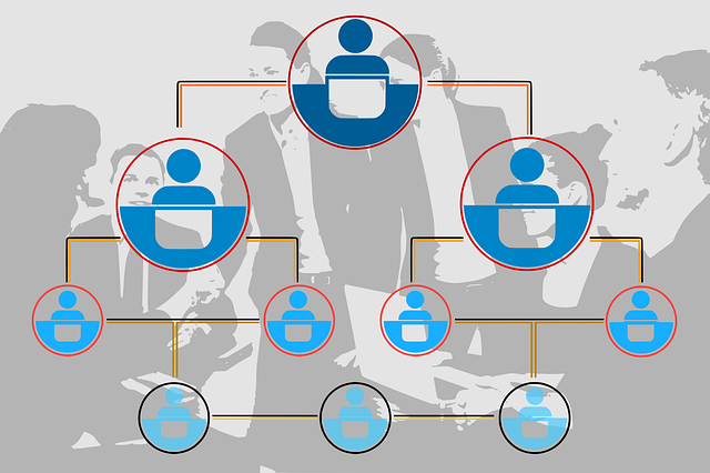 organization chart, information, structure, administration, business, work organization, flow of information, production planning, structural organization, work process, business administration, information logistics, information management, business informatics, logistics, skills, career, school, training, organization chart, organization chart, organization chart, organization chart, organization chart, information, administration, administration, administration, administration