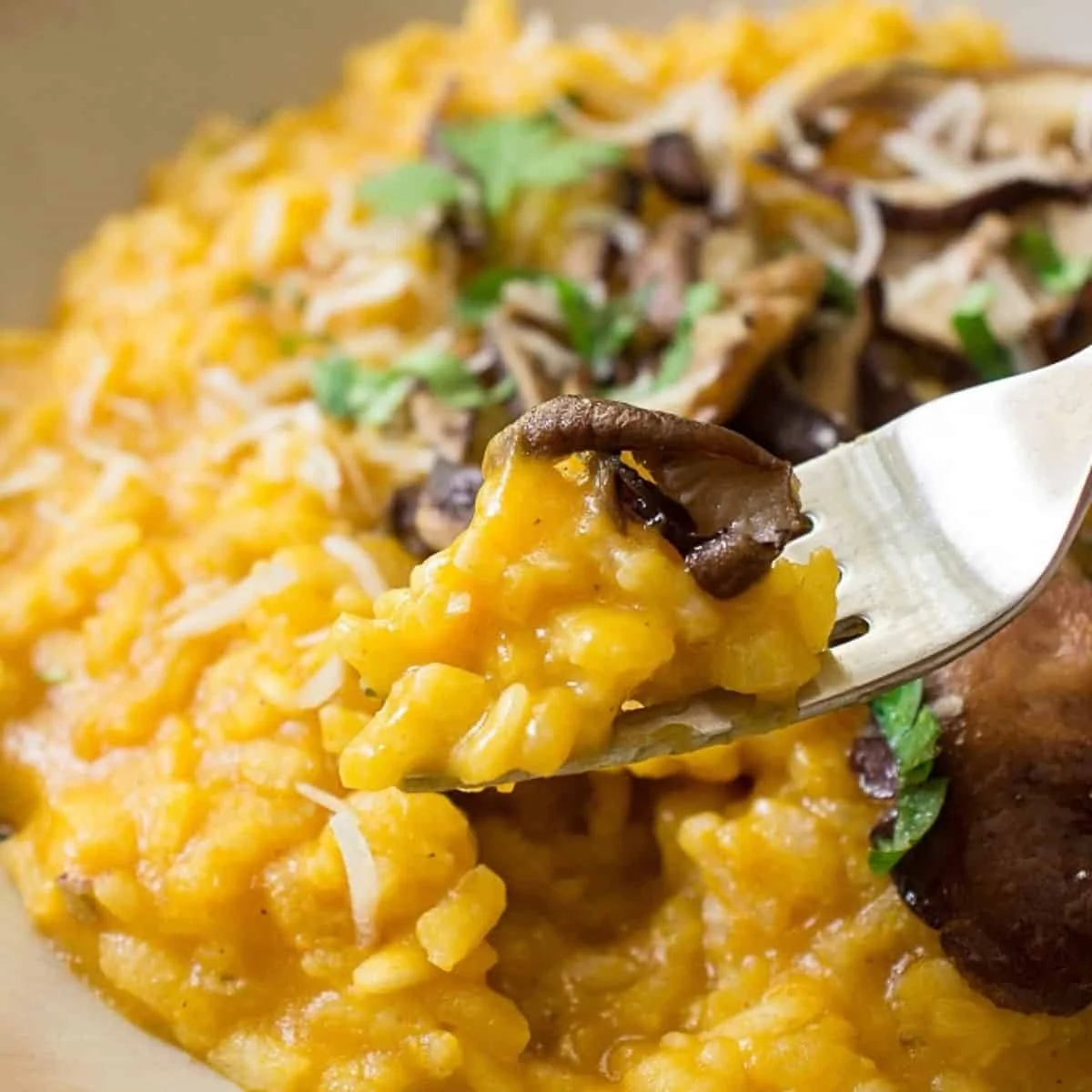 Classic Pumpkin and Mushroom Risotto