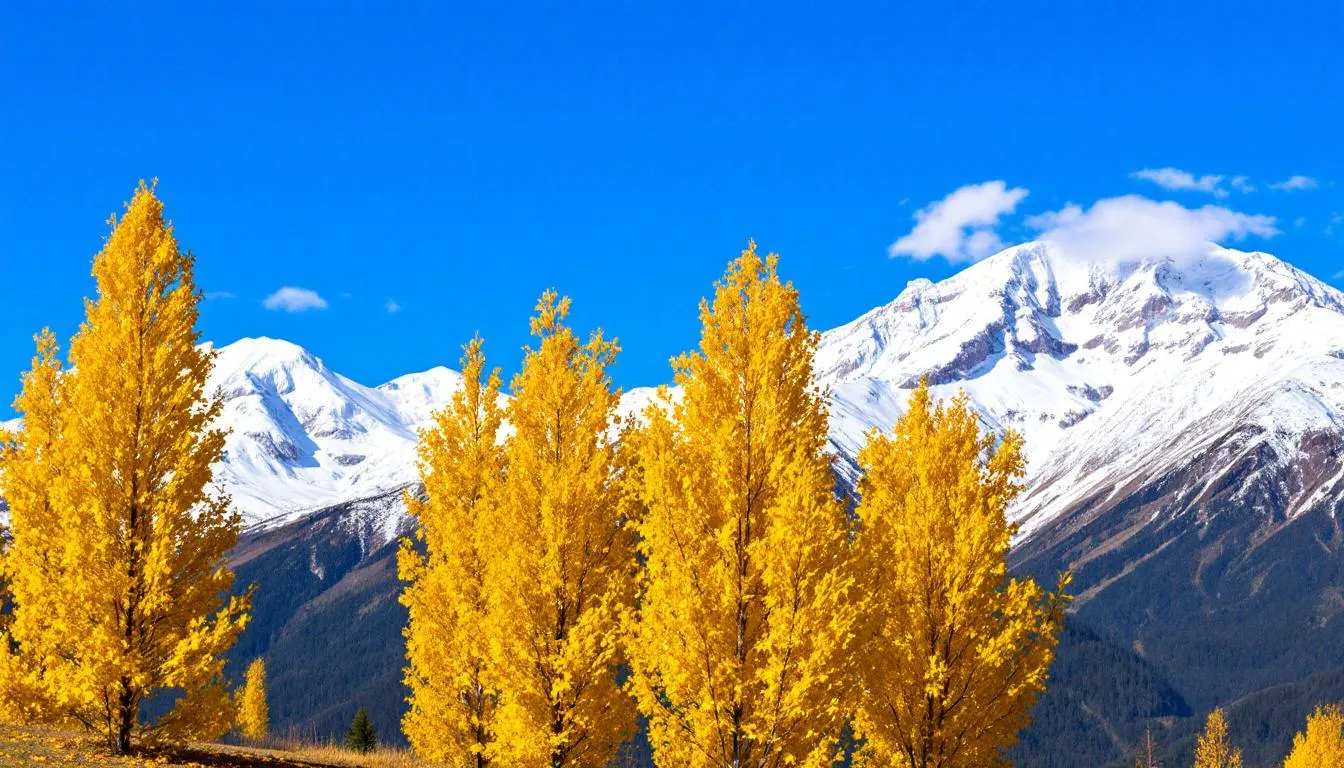 The image depicts a stunning mountain landscape showcasing the vibrant fall colors of aspens against a backdrop of snow-capped peaks, characteristic of the Brian Head area in Utah. This seasonal transformation highlights the natural beauty of the region, perfect for outdoor activities and vacation rentals near Brian Head Resort.