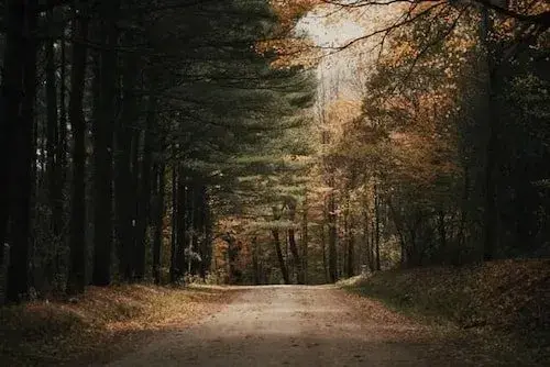 Things To Do In The Litchfield Hills Ct: Top 23 Most Unique Spots 1 Quiet rural road near Falls Village, North Canaan, and New Preston in the Litchfield County region
