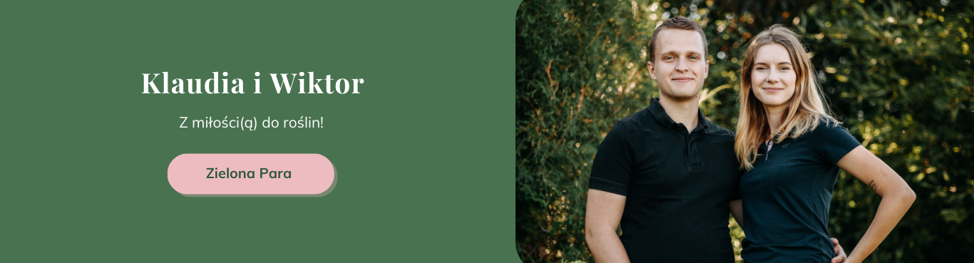 zielona para