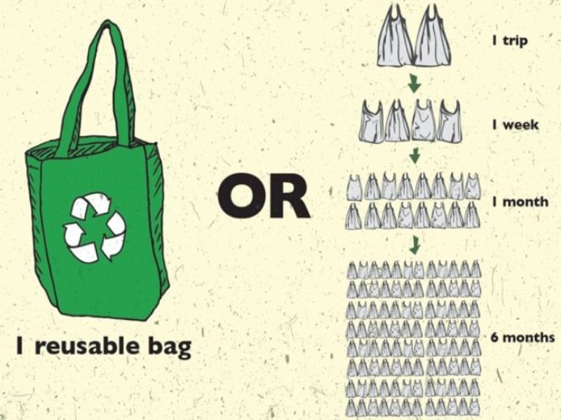 Reusable bag vs plastic bag use 