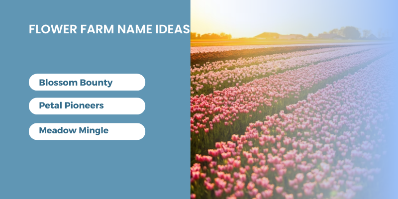 Flower Farm Name Ideas