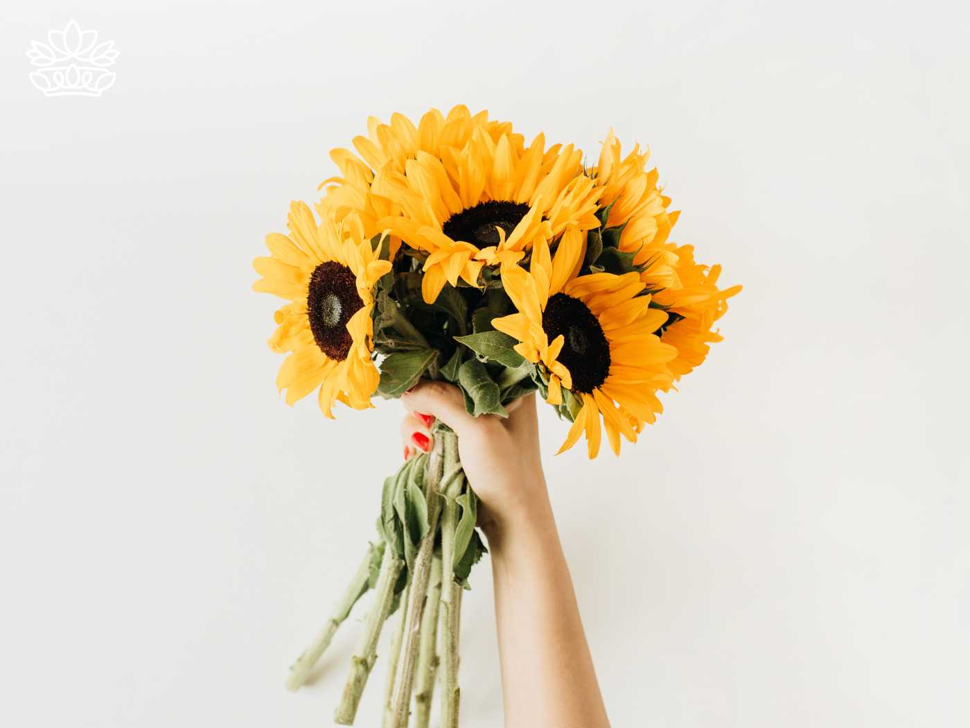 A hand holding a vibrant sunflower bouquet against a plain white background, showcasing beautiful flowers from the Sunflowers Collection by Fabulous Flowers and Gifts. Visit our shop to view and send these exquisite sunflower bouquets.