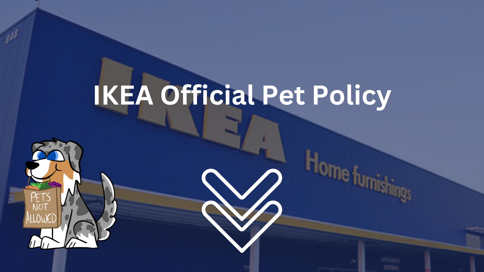 IKEA Official Pet Policy
