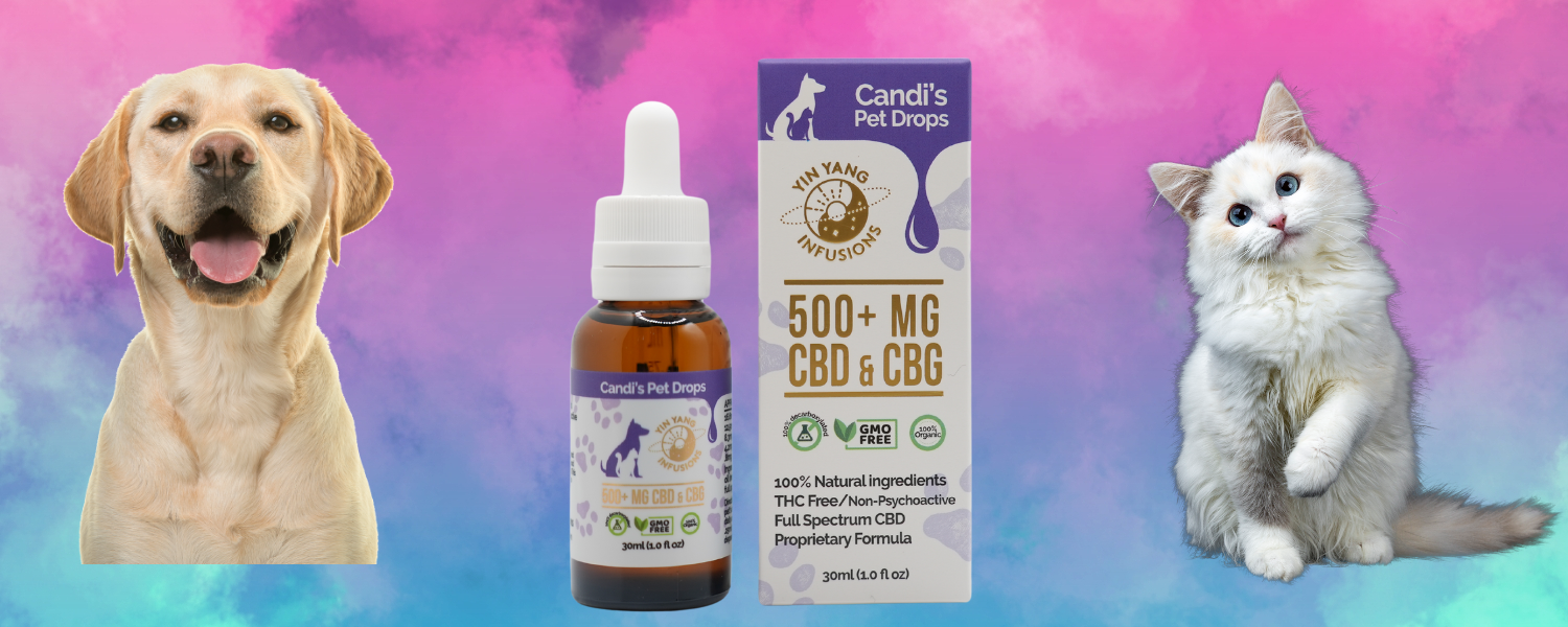 Candi's CBD+CBG Pet Drops 500+mg for pets