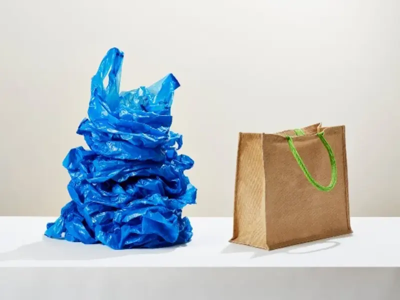 Plastic Bag Vs Eco Friendly Tote Bag