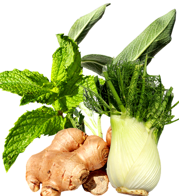 peppermint, ginger, fennel, sage, peppermint, peppermint, ginger, ginger, ginger, ginger, ginger, fennel, fennel