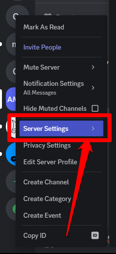 Picture illustrating the Discord server settings tab