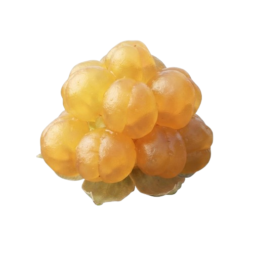 cloudberries - valheim