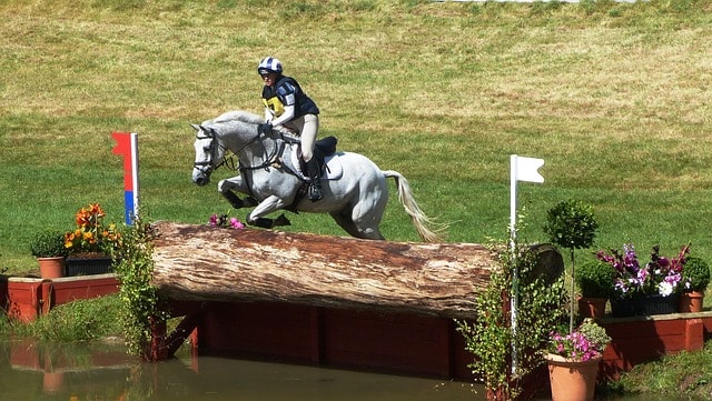 horse trials, eventing, cross country