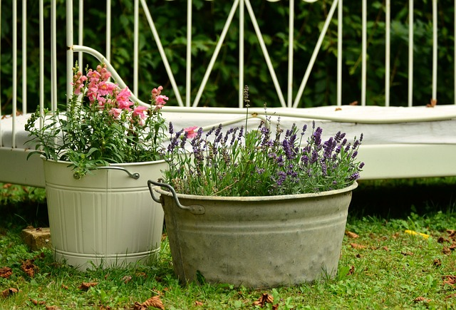 flower decoration, garden, lavender