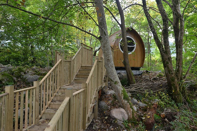 glamping, pod, Scottish glamping - affordable wellness retreats