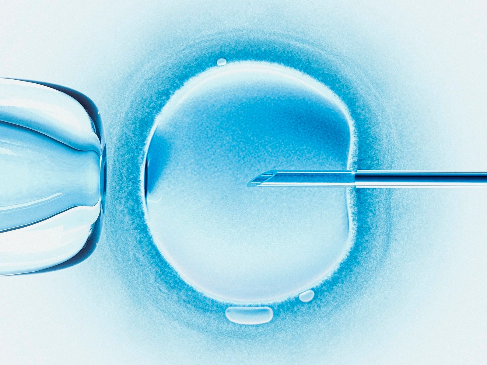 in vitro fertilization, fertility treatments, intracytoplasmic sperm injection