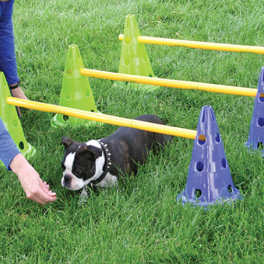 agility equipment to train you dog effectively