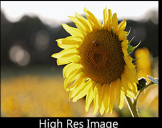 Focus on Print Quality and Readability