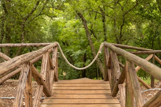 New Forest Family Holidays: Fun-filled Family Holiday Parks