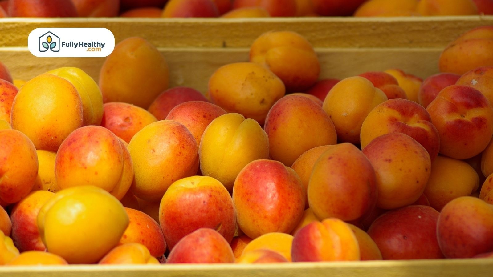 Fresh apricots with red and yellow skin stacked in wooden crates