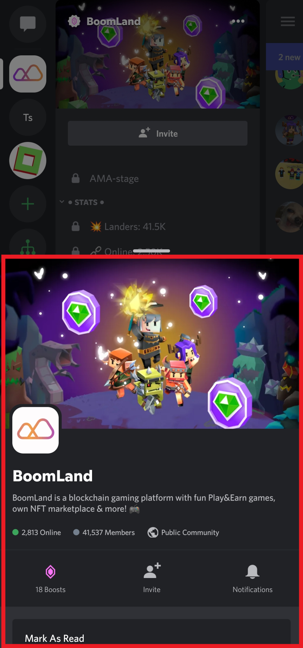 Discord report server