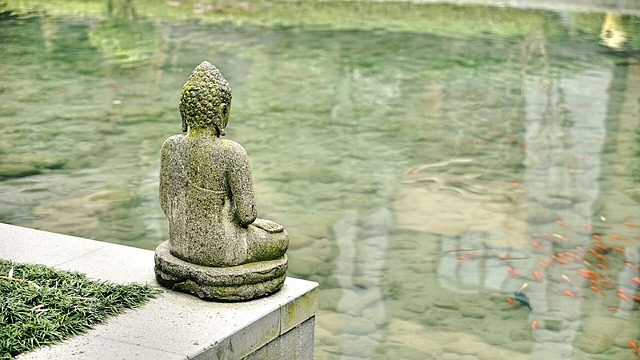 buddha, statue, pond