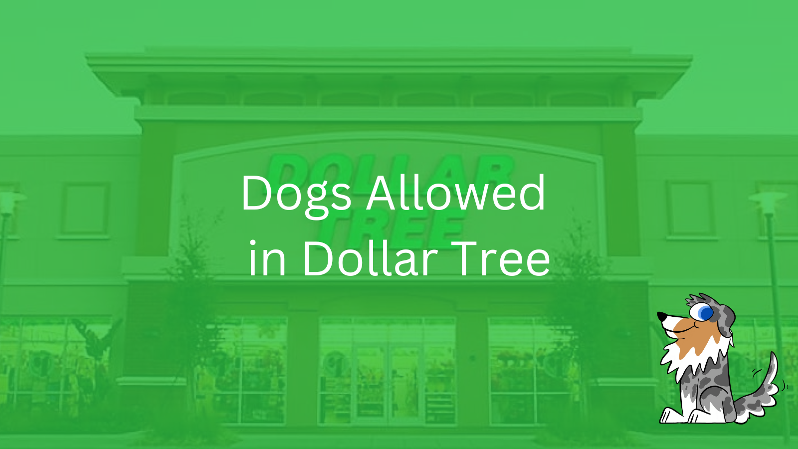 Image Text: "Dogs Allowed in Dollar Tree"
