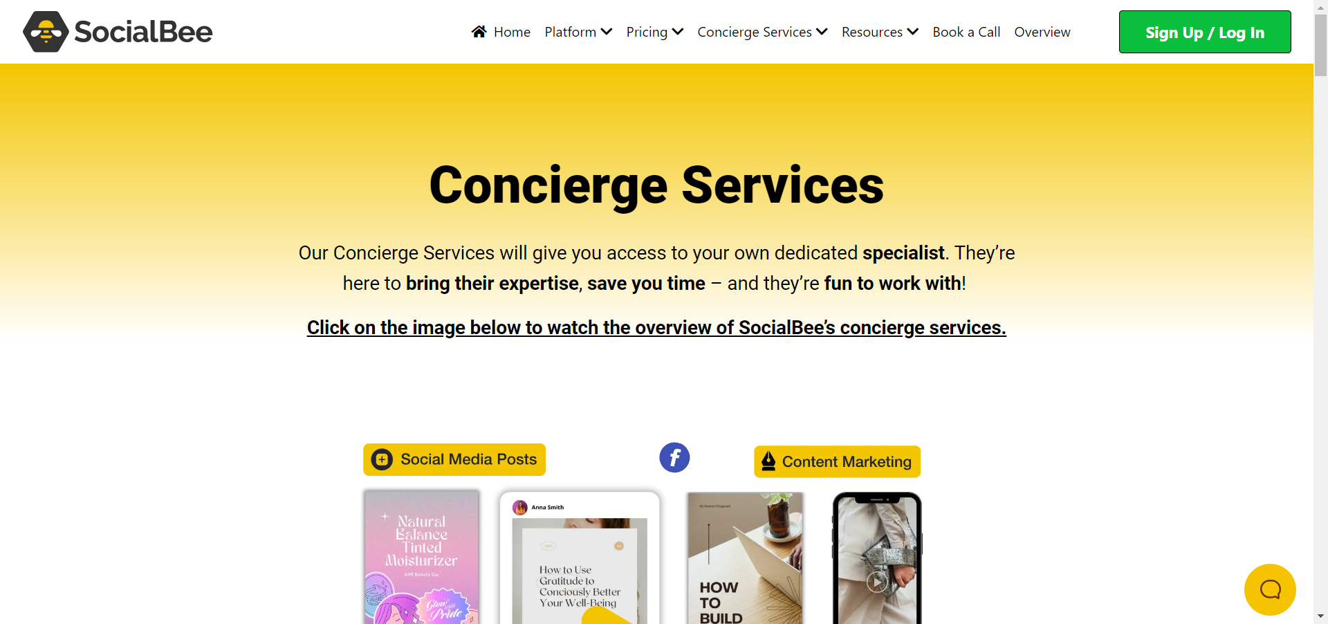 SocialBee's Conceirge services