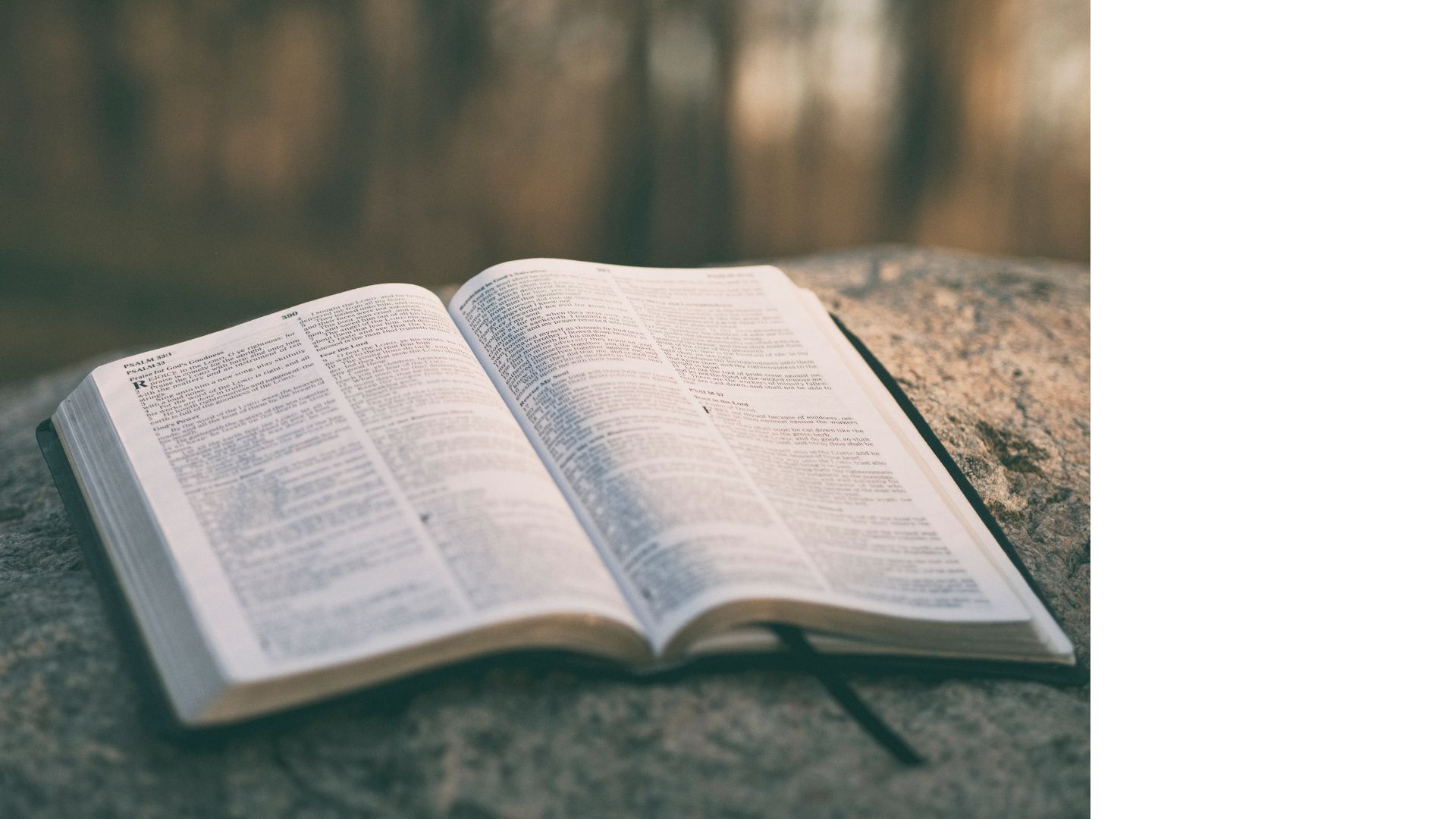 Book of the Bible