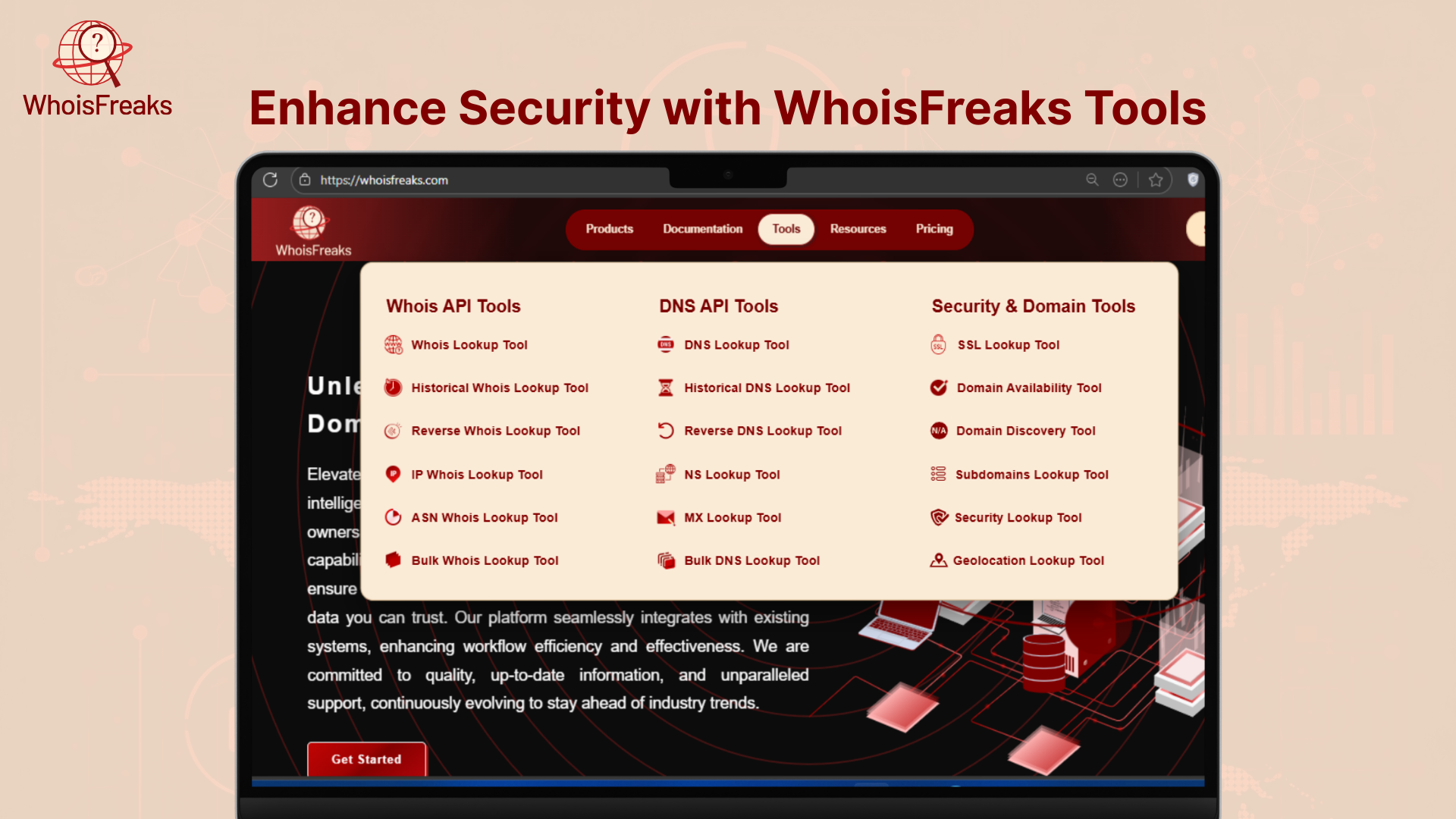 Screenshot of the WhoisFreaks tool interface .