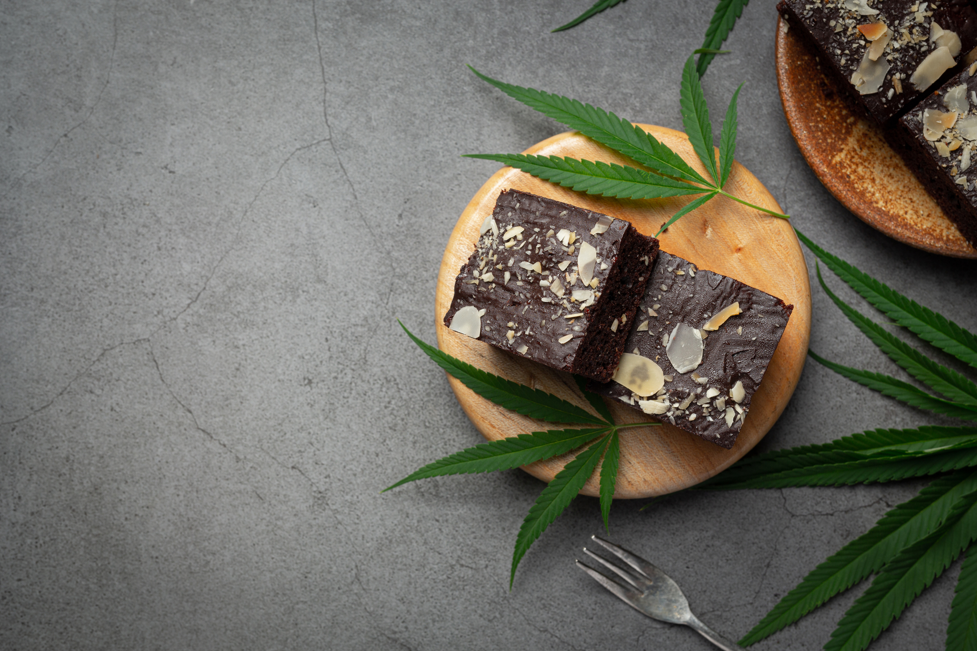 THC potency level, how potent are space cakes?