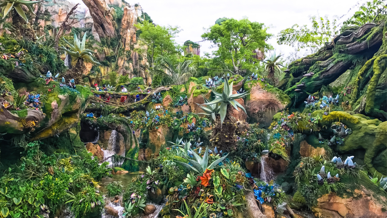 How Many Acres Is Disney World in Florida? (2024 Guide)