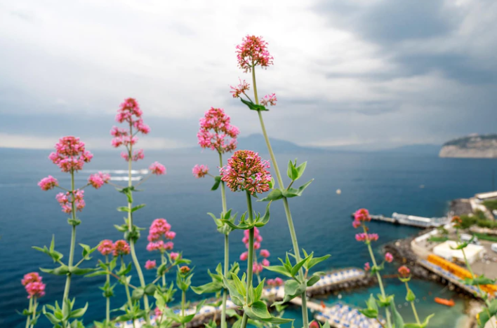 Spring in Sorrento, Italy