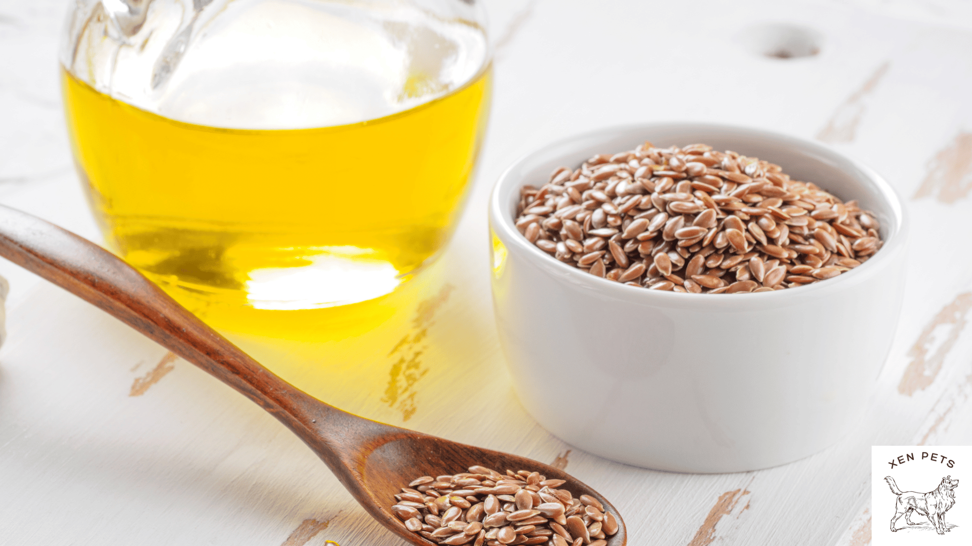 Can Dogs Have Flaxseed Oil? [2024 Nutrition Guide] – Xen Pets