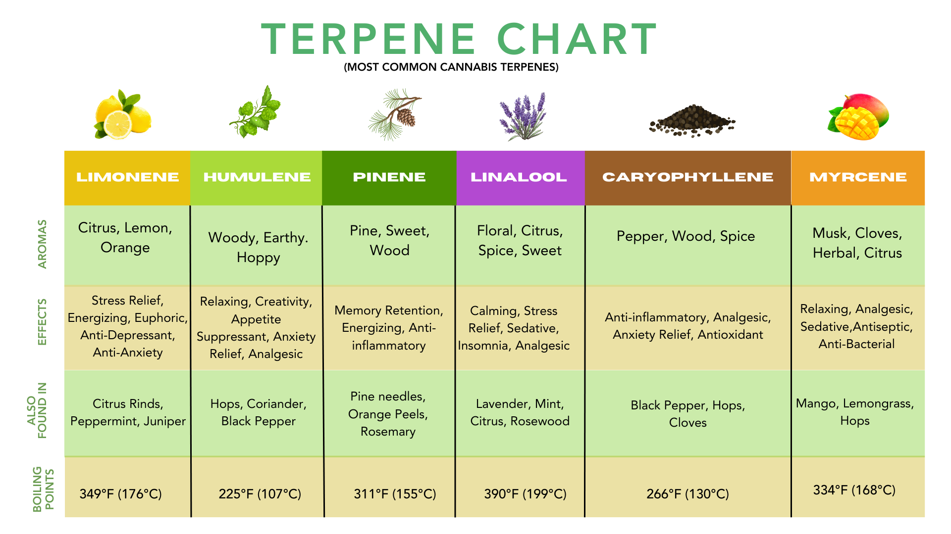 visual graphic of most common cannabis terpenes and their aromas, flavors, benefits, boiling points and where else they are found