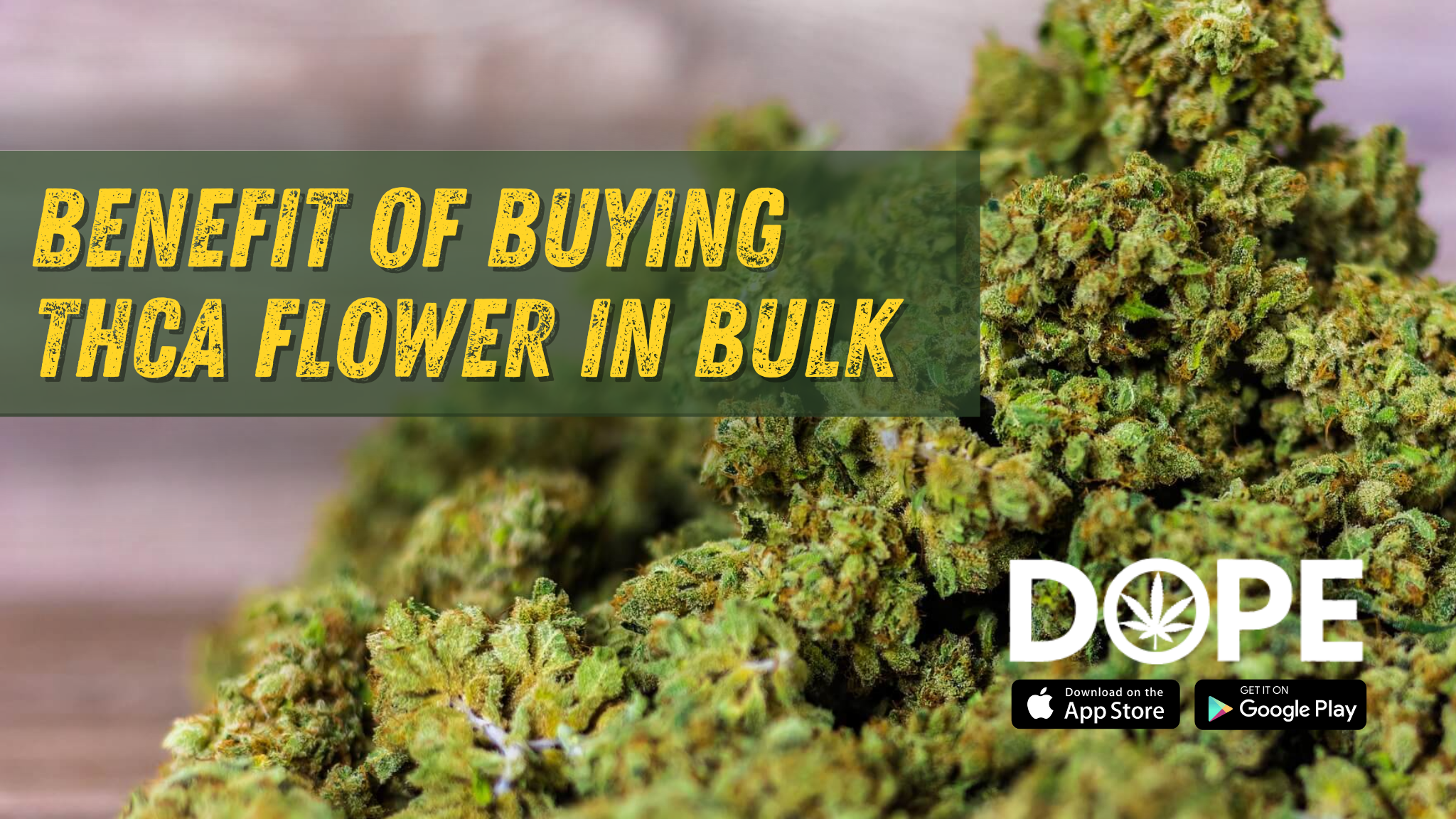 The benefits of buying THCA flower in bulk illustrated with a variety of flower pounds.