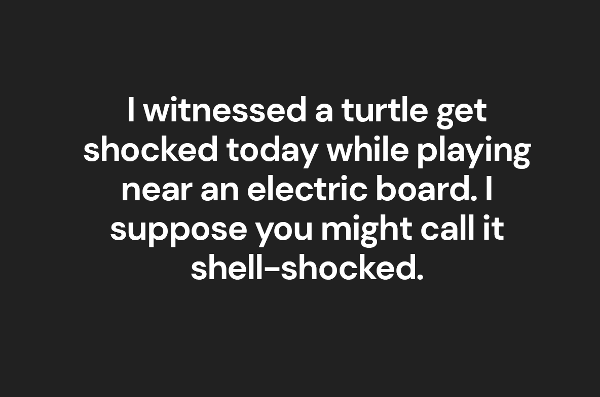 turtle puns