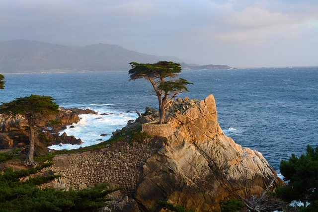 lone, cypress, Monterey