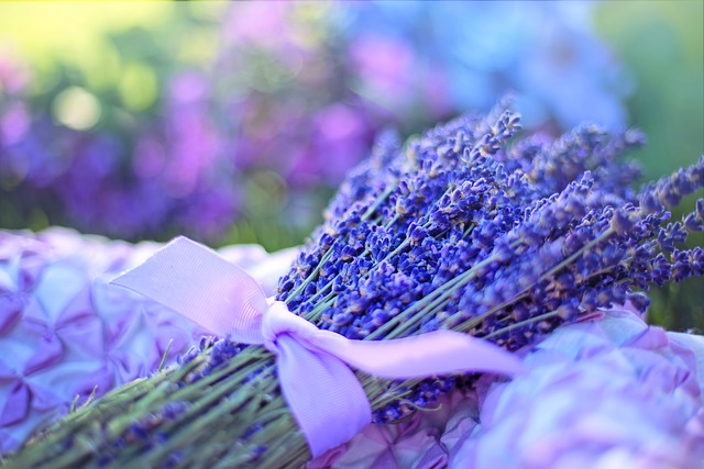 lavenders, flowers, bouquet