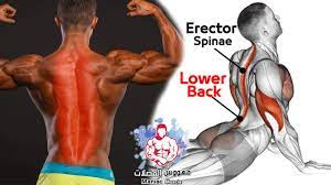 EXERCISE bodyweight Erector Spinae | Strong Lower Back Workout At Home - YouTube