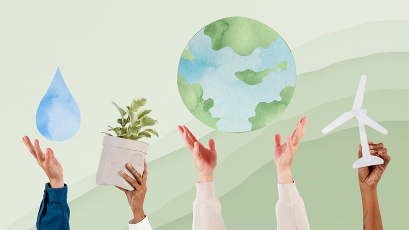 Environmental sustainability 