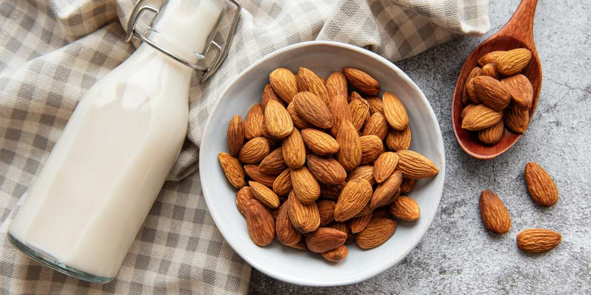 Nuts such as Cashews and Almonds make great protein travel snacks