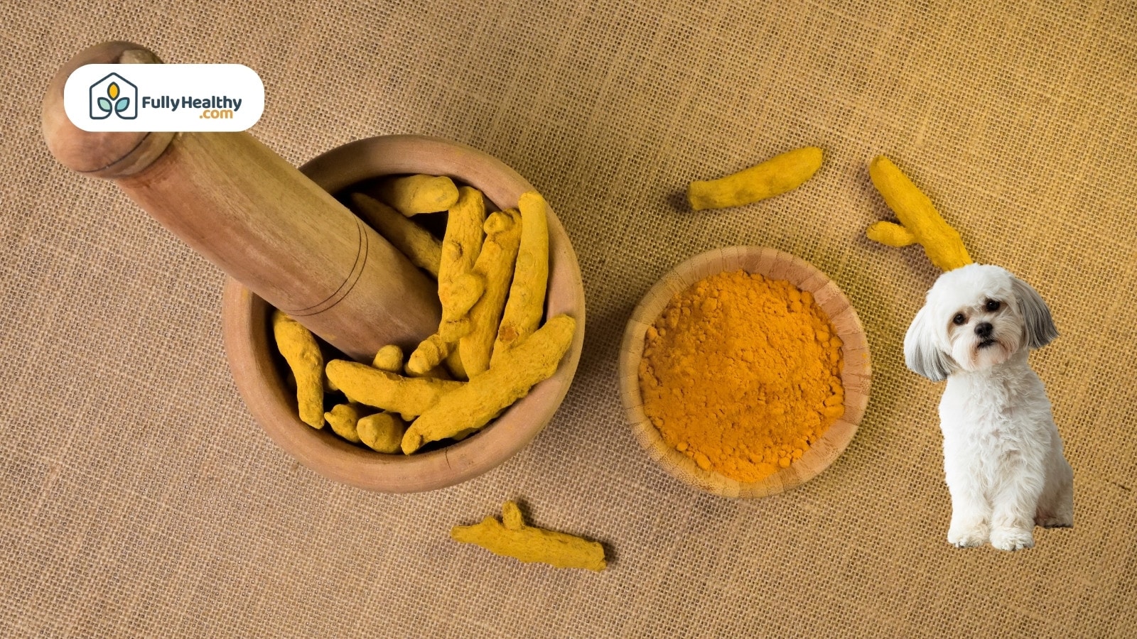 Mortar of dried turmeric roots with powder and small white dog