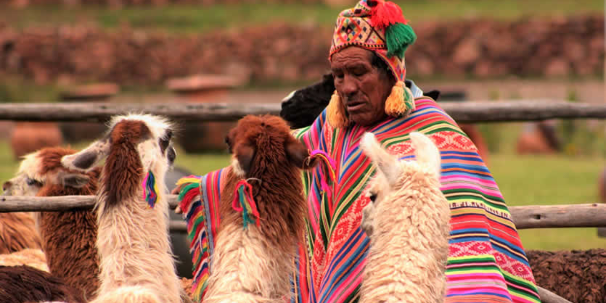 interesting animals in Peru