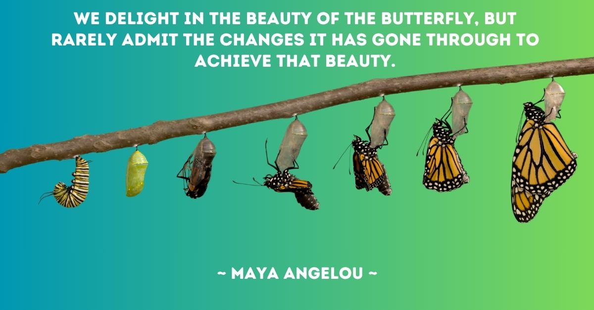"We delight in the beauty of the butterfly, but rarely admit the changes it has gone through to achieve that beauty." – Maya Angelou