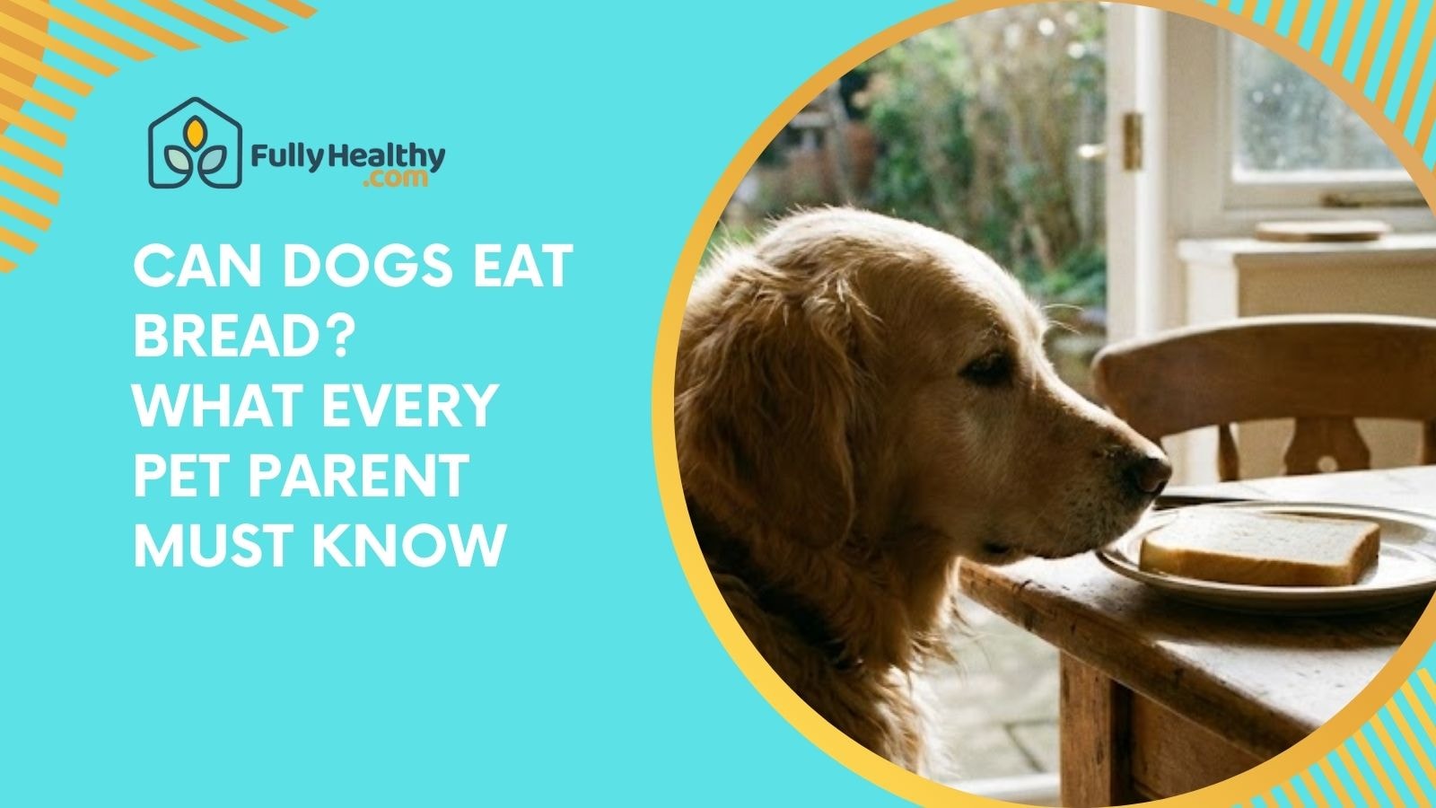 Can Dogs Eat Bread? What Every Pet Parent Must Know