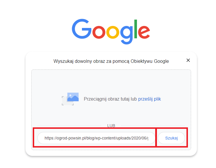 Zrzut ekranu przedstawiający sposób wyszukiwania grafiką w Google za pomocą linku.